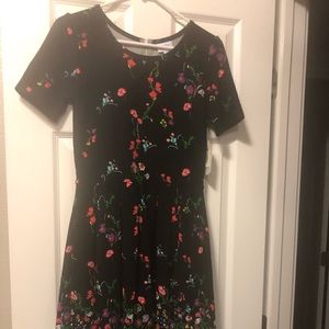 Brand NWT size Medium Amelia dress. Black/floral